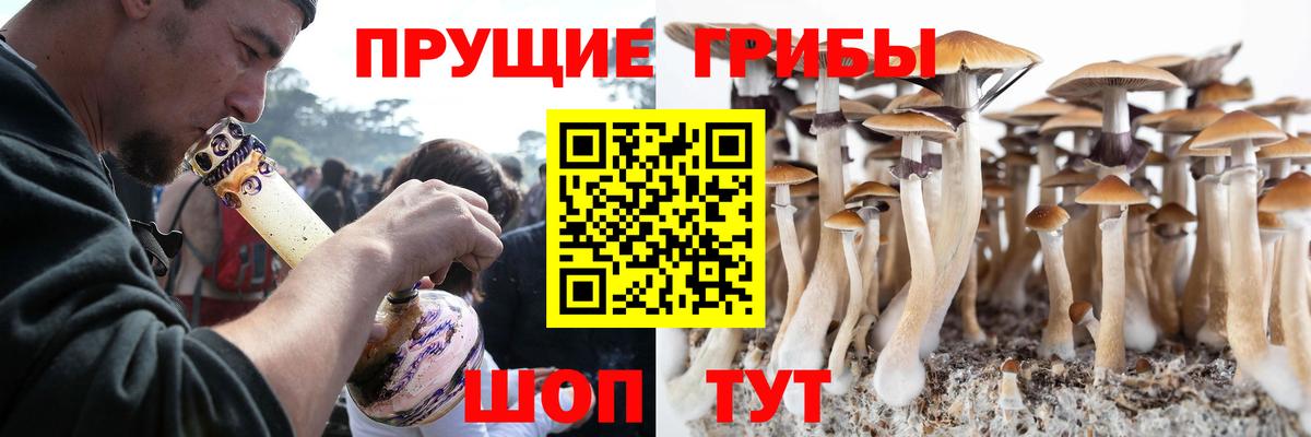 Галлюциногенные грибы ЛСД  Вход с VPN  Сосновоборск 