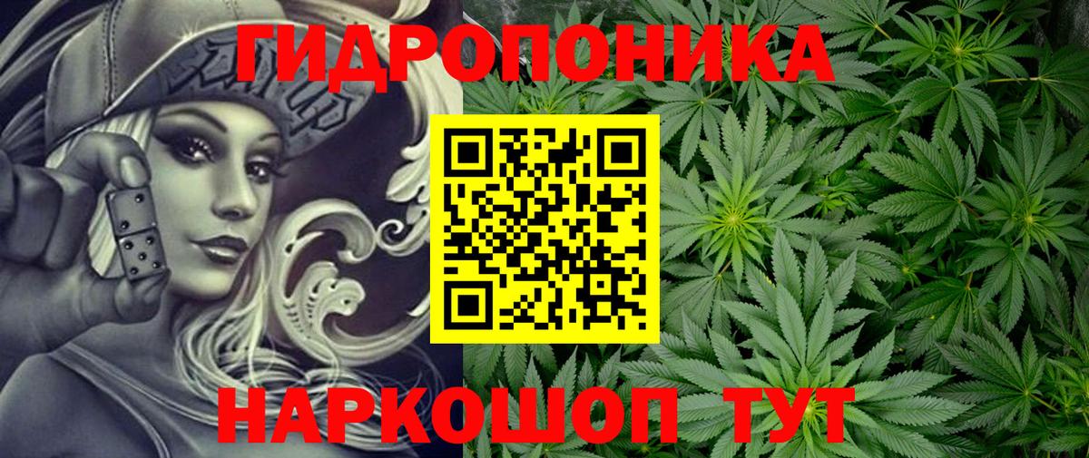 Канабис планчик Сосновоборск